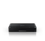 Epson WorkForce WF-110W