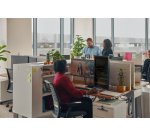 HP Poly Auriculares monoaurales Poly Blackwire 3315 con certificación Microsoft Teams USB-C + Conector de 3,5 mm + Adaptador USB-C/A