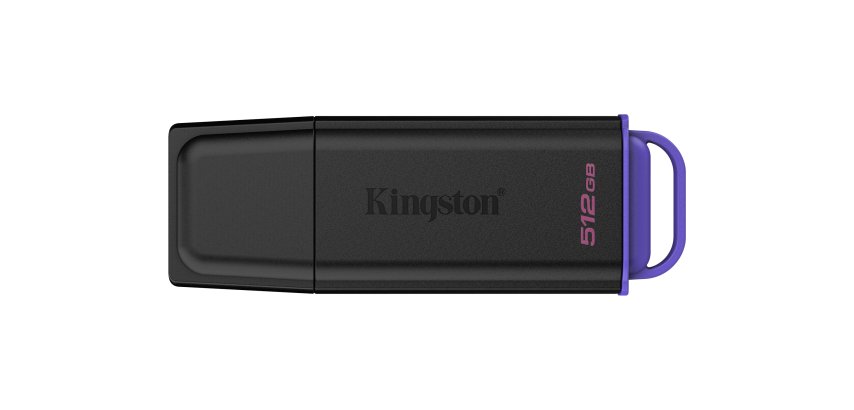 Kingston Technology DataTraveler 512Go Stockage portable USB 3.2 Gen 1 Exodia Noir + Violet