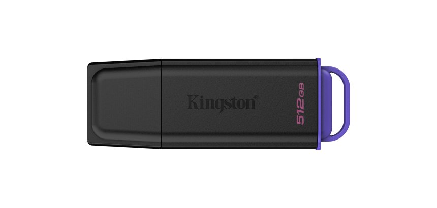Kingston Technology DataTraveler 512Go Stockage portable USB 3.2 Gen 1 Exodia Noir + Violet