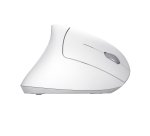 Trust Verto mouse Office Right-hand RF Wireless Optical 1600 DPI