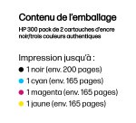HP 300 pack de 2 cartouches d'encre noir/trois couleurs authentiques
