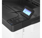 Ricoh P 501 1200 x 1200 DPI A4