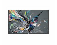 Philips 65BDL3650QE/00 Écran d'affichage dynamique Écran plat de signalisation numérique 165,1 cm (65") LCD Wifi 300 cd/m² 4K Ultra HD Noir Intégré dans le processeur Android 10 18/7