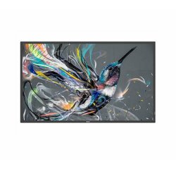 Philips 65BDL3650QE/00 Écran d'affichage dynamique Écran plat de signalisation numérique 165,1 cm (65") LCD Wifi 300 cd/m² 4K Ultra HD Noir Intégré dans le processeur Android 10 18/7