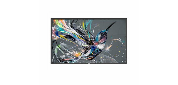 Philips 65BDL3650QE/00 Écran d'affichage dynamique Écran plat de signalisation numérique 165,1 cm (65") LCD Wifi 300 cd/m² 4K Ultra HD Noir Intégré dans le processeur Android 10 18/7