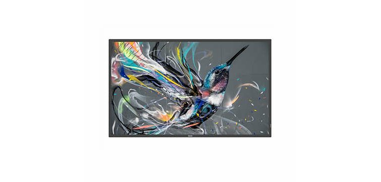 Philips 65BDL3650QE/00 Écran d'affichage dynamique Écran plat de signalisation numérique 165,1 cm (65") LCD Wifi 300 cd/m² 4K Ultra HD Noir Intégré dans le processeur Android 10 18/7