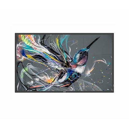 Philips 65BDL3650QE/00 Écran d'affichage dynamique Écran plat de signalisation numérique 165,1 cm (65") LCD Wifi 300 cd/m² 4K Ultra HD Noir Intégré dans le processeur Android 10 18/7