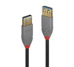 Lindy 1m USB 3.2 Type A Extension Cable, 5Gbps, Anthra Line