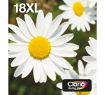 Epson Daisy Encre EasyMail Claria Home multipack 4 couleurs Pâquerette 18XL