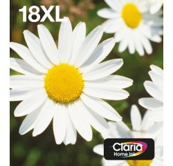 Epson Daisy Encre EasyMail Claria Home multipack 4 couleurs Pâquerette 18XL