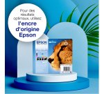 Epson Cheetah Singlepack Cyan T0712 DURABrite Ultra Ink