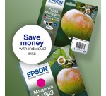Epson Apple T1295 DURABrite Ultra Multipack 4-colours Ink