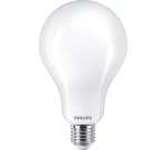 Philips Lampadina smerigliata a filamento 200 W A95 E27