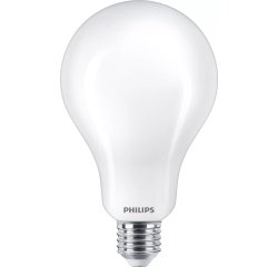 Philips Lampadina smerigliata a filamento 200 W A95 E27