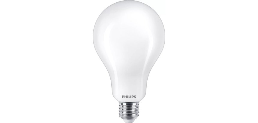 Philips Lampadina smerigliata a filamento 200 W A95 E27