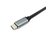 Equip USB-C 4 in 1 Dual HDMI Adapter