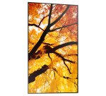 Sharp MultiSync M552 Pantalla plana para señalización digital 139,7 cm (55") LCD 550 cd / m² 4K Ultra HD Negro Pantalla táctil