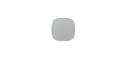 AVer 60U6300000AB accesorio para videoconferencia Altavoz Gris