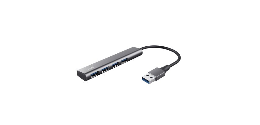 Trust Halyx USB 3.2 Gen 1 (3.1 Gen 1) Type-A 5 Mbit/s Noir, Gris