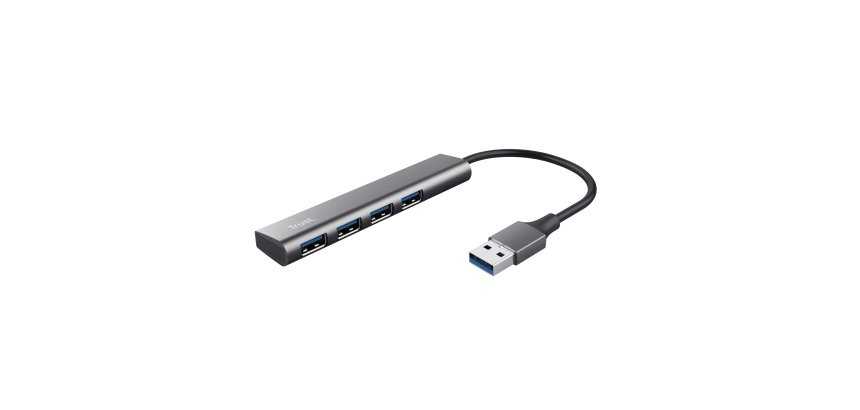 Trust Halyx USB 3.2 Gen 1 (3.1 Gen 1) Type-A 5 Mbit/s Noir, Gris