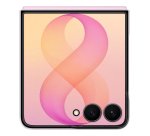 Samsung Galaxy Z Flip8 Clear Magnet Case