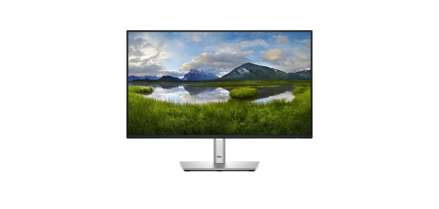 DELL Pro Plus P2425HE pantalla para PC 60,5 cm (23.8") 1920 x 1080 Pixeles Full HD LCD Negro