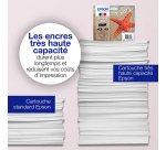 Epson Singlepack Cyan 603XL Ink