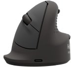 Fellowes 100143581 souris Universel Droitier Bluetooth + USB Type-C Optique 2400 DPI