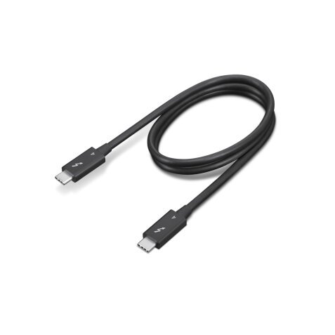 Lenovo 4X91K16968 Câble Thunderbolt 0,7 m 40 Gbit/s Noir