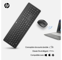 HP Ensemble clavier et souris sans fil 230