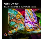 Hisense 65E7Q PRO 165,1 cm (65") 4K Ultra HD Smart TV Wi-Fi Nero 385 cd/m²
