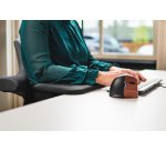 Bakker Elkhuizen keyboard arm rest