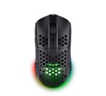 Trust GXT 929 Helox souris Gaming Droitier RF sans fil Optique 4800 DPI