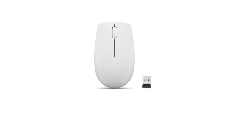 Lenovo Mouse wireless 300 compatto (Grigio Cloud)