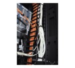 APC NetShelter Cable Manager, for 42U- 750W NetShelter SX, Vertical, 1778H x 97W x 160D mm