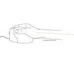 Souris bakker evoluent 4 droitier petit