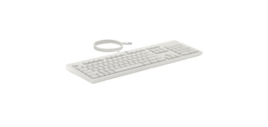 HP 225 Wired Mouse and KB G2 CWH Belgien - Englische Lokalisierung AZERTY - Maus - AZERTY Tastatur Maus enthalten Büro USB Weiß