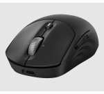 HP Souris sans fil rechargeable 700