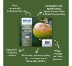 Epson Apple T1295 DURABrite Ultra Multipack 4-colours Ink