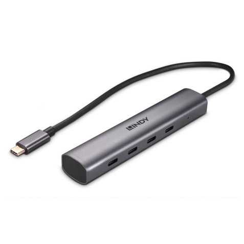 Lindy 43384 hub & concentrateur USB Type-C 10000 Mbit/s Gris