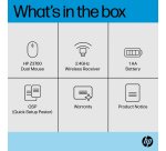 HP Z3700 Dual Black Mouse