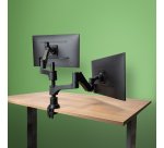 R-Go Tools Bras d'écran R-Go Caparo, pour deux écrans, réglable par vérin à gaz, capacité de charge 3-9 kg, 100% circulaire, noir