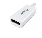 Equip Mini DisplayPort to DisplayPort adapter