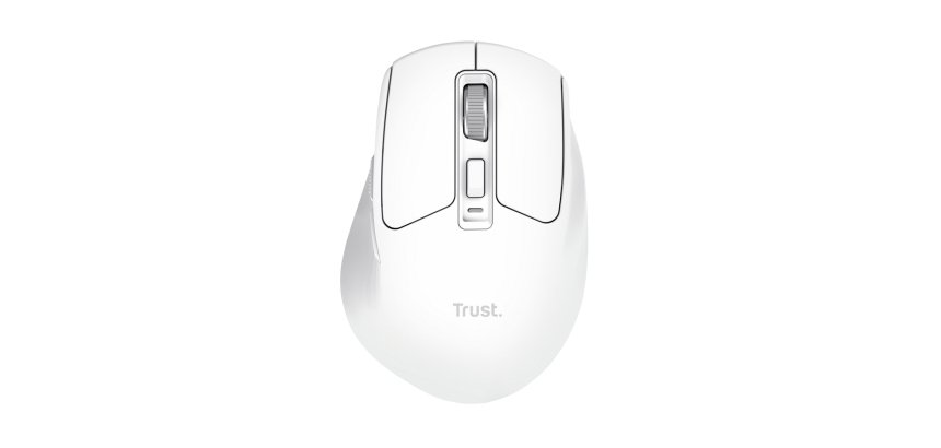 Trust Niven souris Bureau Droitier RF sans fil + Bluetooth 3200 DPI