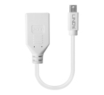 Lindy 41021 cable DisplayPort 0,15 m Mini DisplayPort Blanco