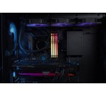 Kingston Technology FURY Beast 16 Go 6000 MT/s DDR5 CL36 DIMM (Kits de 2) RGB EXPO