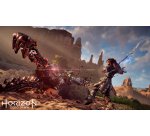 Sony Interactive Entertainment Horizon Zero Dawn: Complete Edition - PS Hits English, Italian PlayStation 4