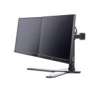 iiyama DS1002D-B1 support d'écran plat pour bureau 76,2 cm (30") Noir
