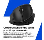 HP Souris ergonomique inclinable 725M